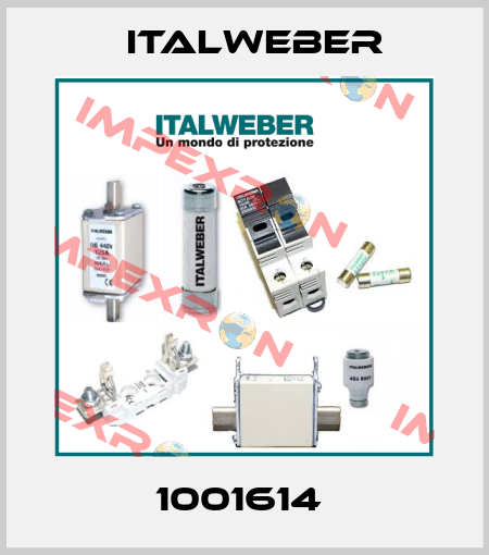 1001614  Italweber