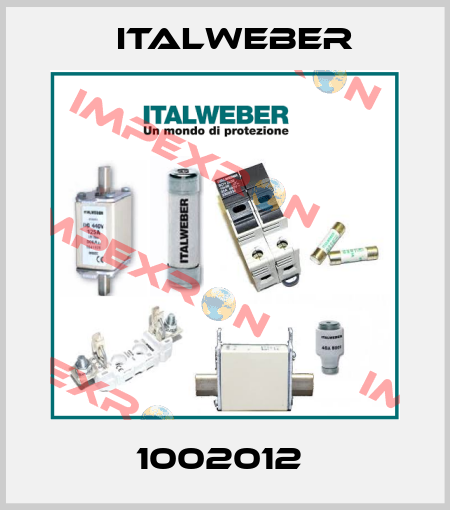 1002012  Italweber