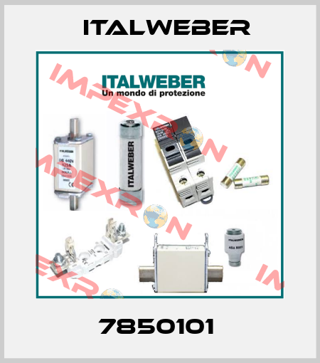7850101  Italweber