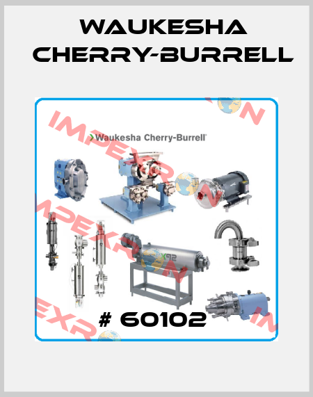 # 60102  Waukesha Cherry-Burrell