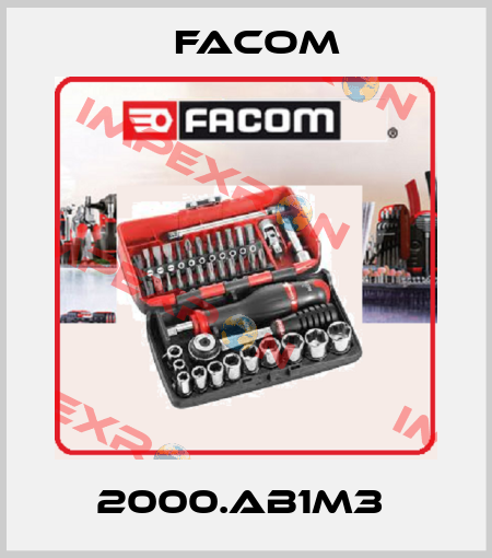 2000.AB1M3  Facom
