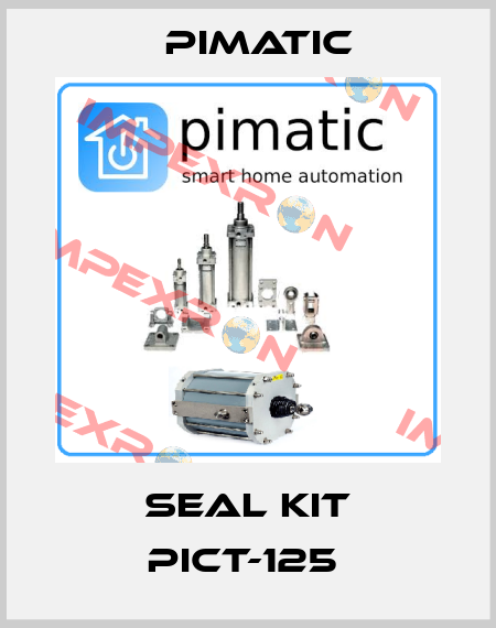 SEAL KIT PICT-125  Pimatic