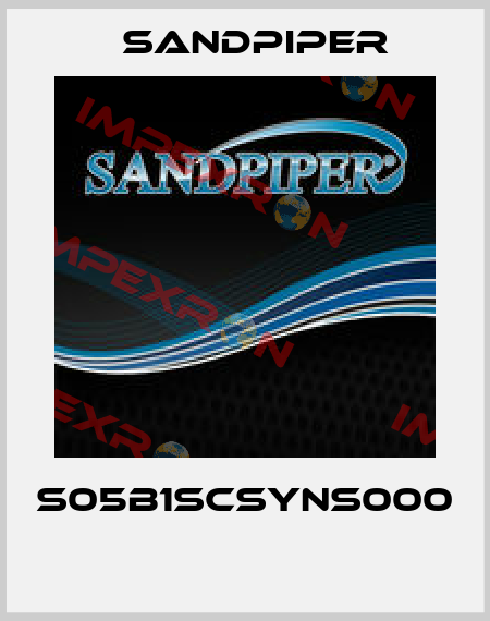 S05B1SCSYNS000  Sandpiper