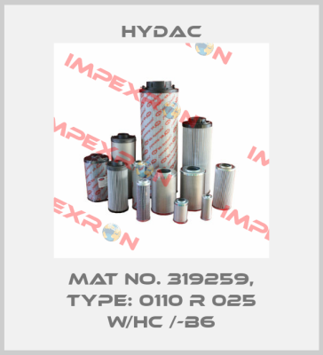 Mat No. 319259, Type: 0110 R 025 W/HC /-B6 Hydac