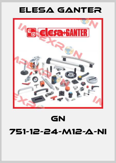 GN 751-12-24-M12-A-NI  Elesa Ganter