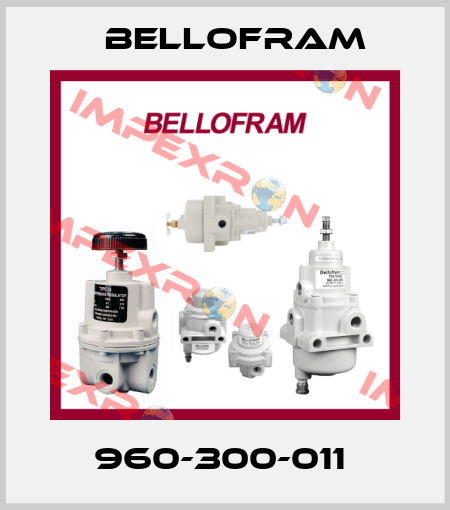 960-300-011  Bellofram