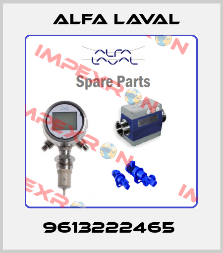 9613222465  Alfa Laval