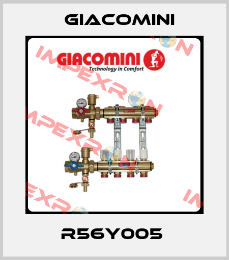 R56Y005  Giacomini
