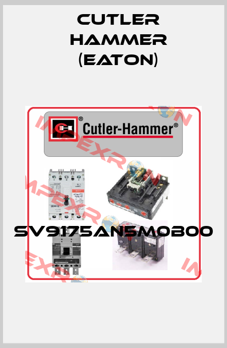 SV9175AN5M0B00  Cutler Hammer (Eaton)