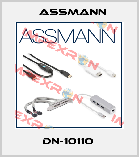 DN-10110  Assmann