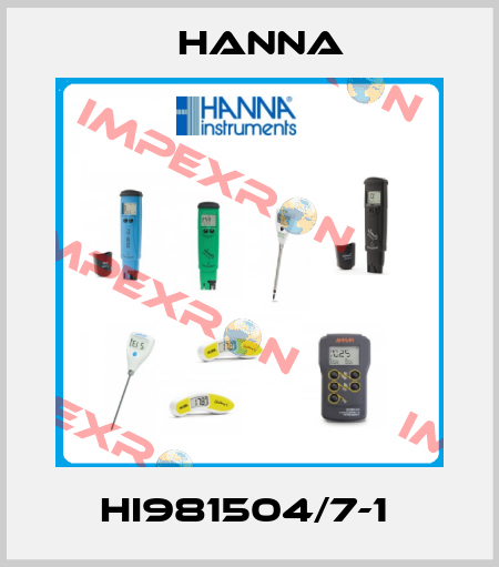 HI981504/7-1  Hanna