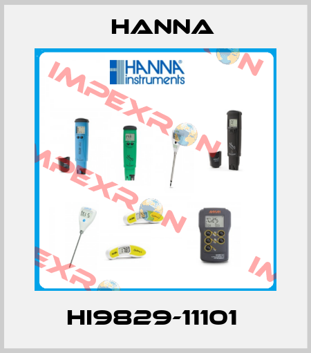 HI9829-11101  Hanna