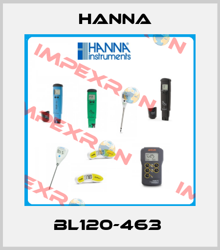 BL120-463  Hanna