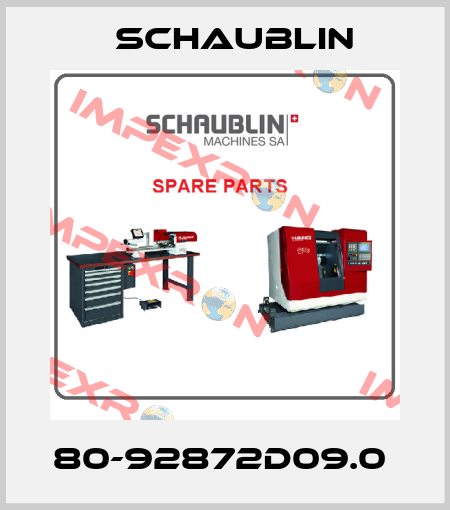 80-92872D09.0  Schaublin