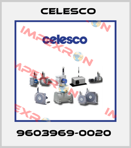 9603969-0020  Celesco