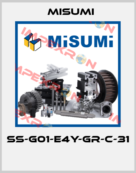 SS-G01-E4Y-GR-C-31  Misumi