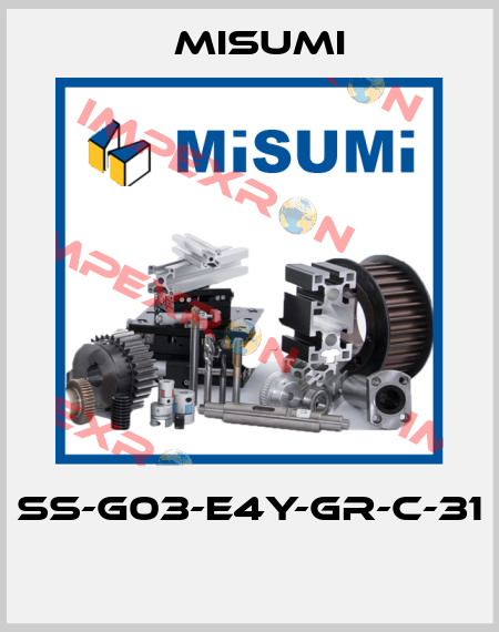 SS-G03-E4Y-GR-C-31  Misumi