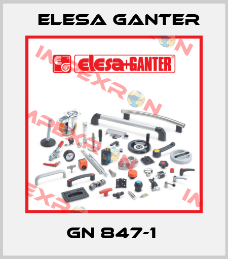 GN 847-1  Elesa Ganter