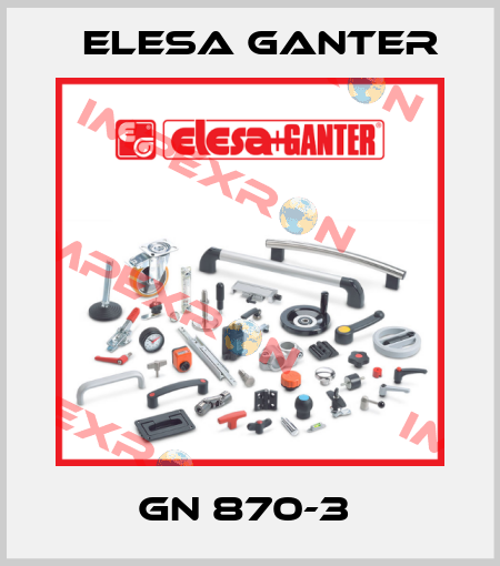 GN 870-3  Elesa Ganter