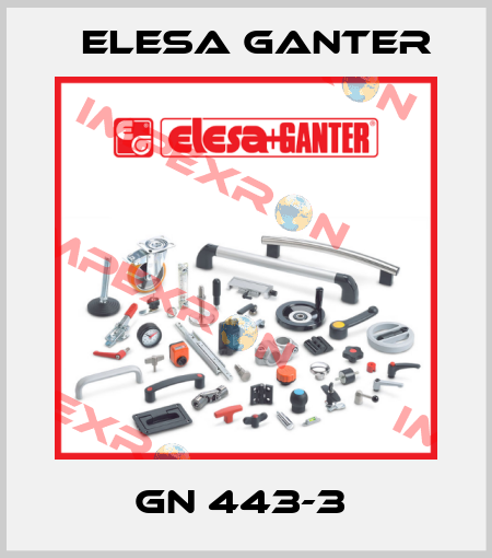 GN 443-3  Elesa Ganter