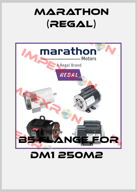 B5 flange for DM1 250M2  Marathon (Regal)