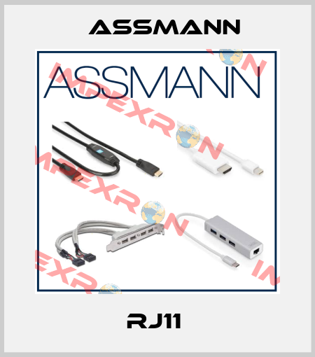 RJ11  Assmann