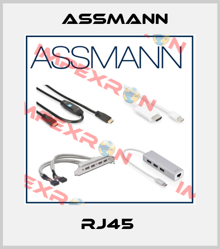 RJ45  Assmann