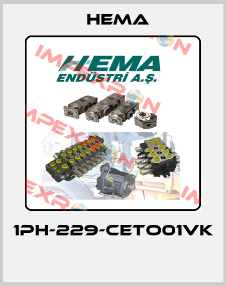 1PH-229-CETO01VK  Hema