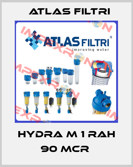 HYDRA M 1 RAH 90 mcr  Atlas Filtri