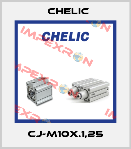 CJ-M10x.1,25 Chelic