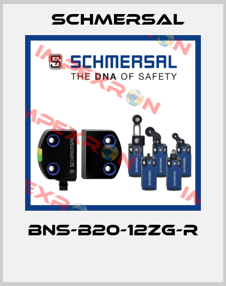 BNS-B20-12ZG-R  Schmersal