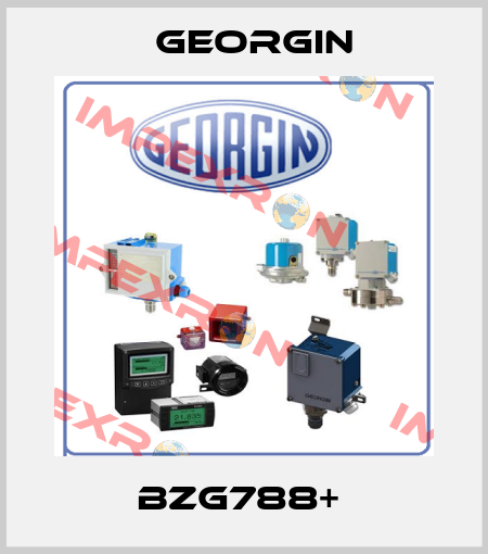 bzg788+  Georgin