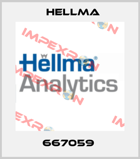 667059  Hellma