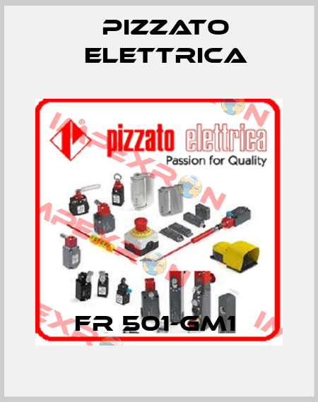 FR 501-GM1  Pizzato Elettrica