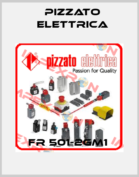 FR 501-2GM1  Pizzato Elettrica