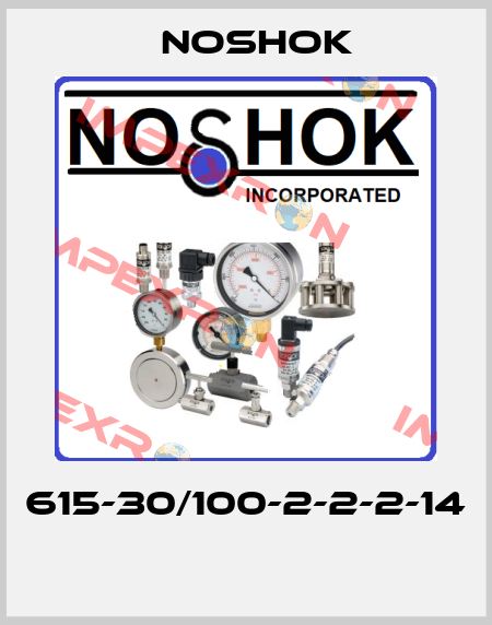 615-30/100-2-2-2-14  Noshok