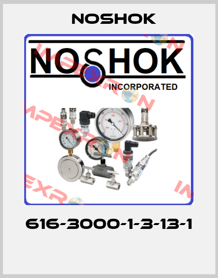 616-3000-1-3-13-1  Noshok