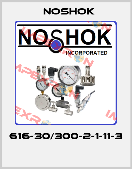 616-30/300-2-1-11-3  Noshok