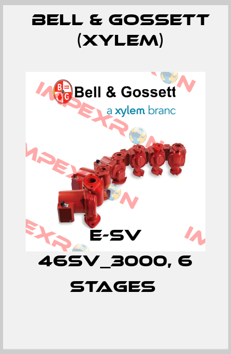 E-SV 46SV_3000, 6 STAGES  Bell & Gossett (Xylem)