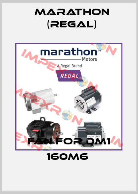 FAN FOR DM1 160M6  Marathon (Regal)