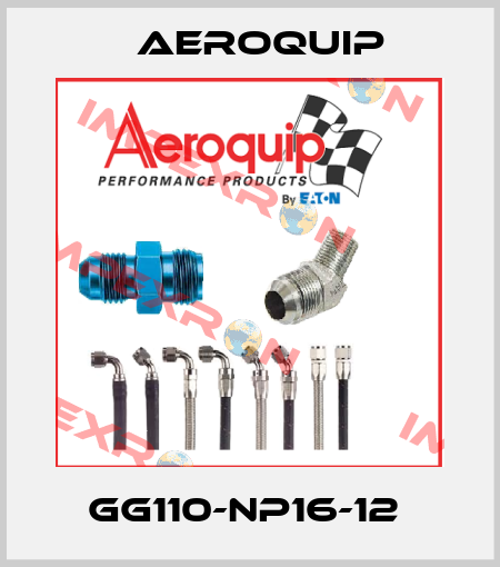 GG110-NP16-12  Aeroquip