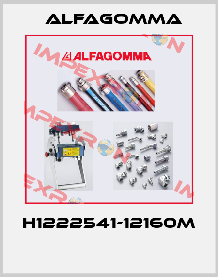 H1222541-12160M  Alfagomma