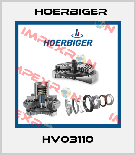 HV03110 Hoerbiger