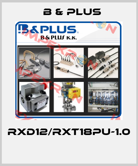 RXD12/RXT18PU-1.0  B & PLUS