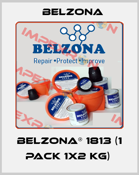 Belzona® 1813 (1 pack 1x2 kg)  Belzona