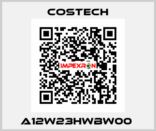 A12W23HWBW00  Costech