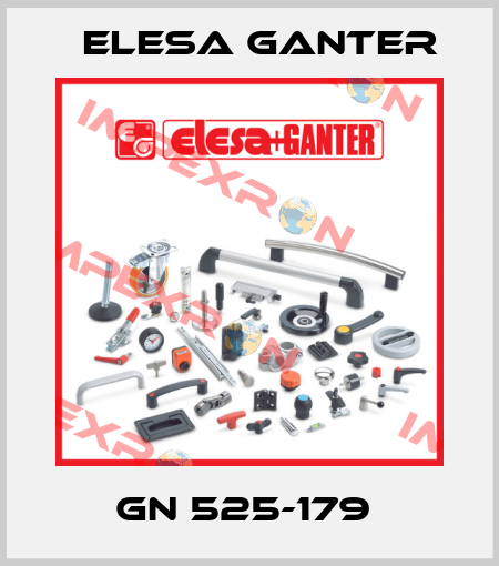 GN 525-179  Elesa Ganter