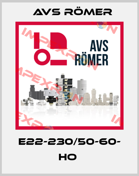 E22-230/50-60- HO  Avs Römer