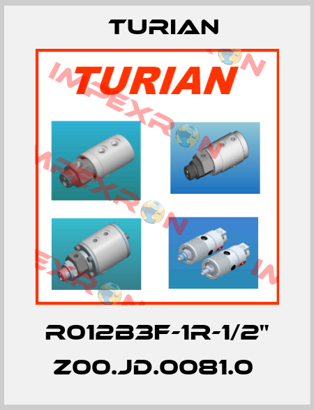 R012B3F-1R-1/2" Z00.JD.0081.0  Turian