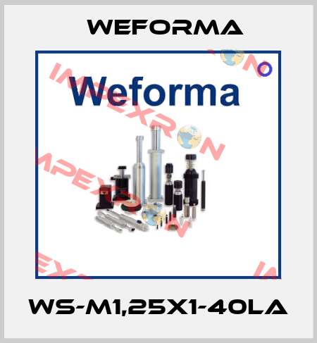 WS-M1,25x1-40LA Weforma